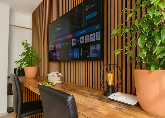 Premium Budget * Treviri